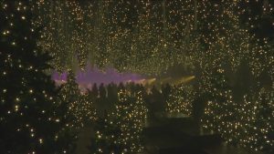 Ледена феерия в индустриален Берлин: Откриха пързалка с 600 обърнати коледни дръвчета