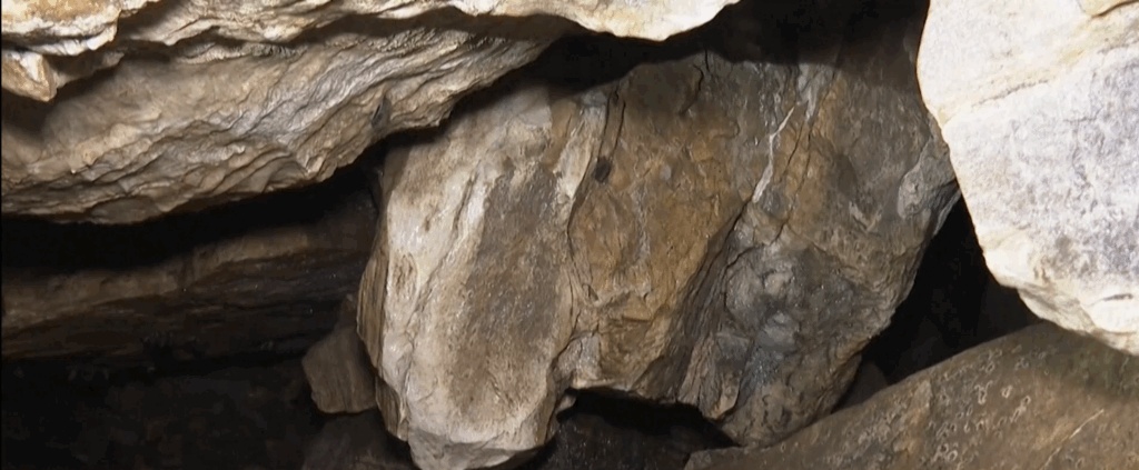 Дронове, вдъхновени от прилепите: Ултразвукова ехолокация осигурява автономно 'зрение' в пълен мрак