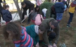 Програма „Озеленяване“ в Кипър: 44 училища се превръщат в „живи лаборатории“ за устойчивост