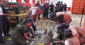 Разкриха съкровища от потъналия галеон „Сан Хосе“: Оръдие, монети и порцеланова чаша извадени от морското дъно