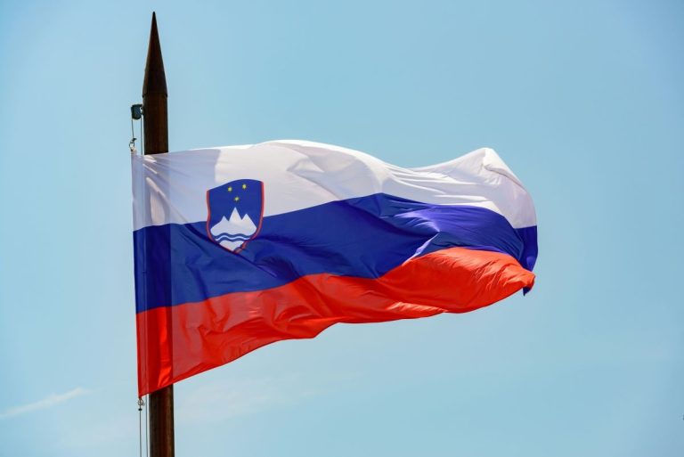 Словения въвежда "Шутарев закон": Разширени полицейски правомощия и по-строги наказания Словения въвежда "Шутарев закон": Разширени полицейски правомощия и по-строги наказания