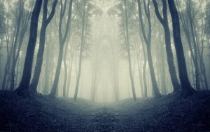 Ноемврийско затопляне: Температурите достигат 20° в понеделник преди идването на студен фронт