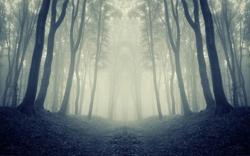 Ноемврийско затопляне: Температурите достигат 20° в понеделник преди идването на студен фронт