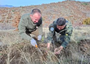 Военни и горски обединяват сили за възстановяване на опожарена гора край Симитли