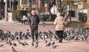 Влажно и меко време около Никулден, сняг в планините