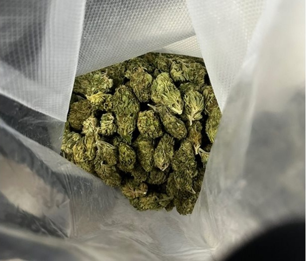 Над 17 кг марихуана открити в дома на мъж в Любимец