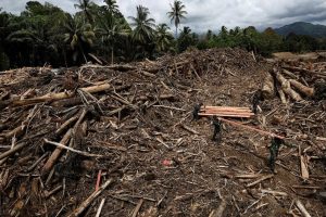 Жертвите от наводненията на Суматра надхвърлиха 900, стотици са в неизвестност