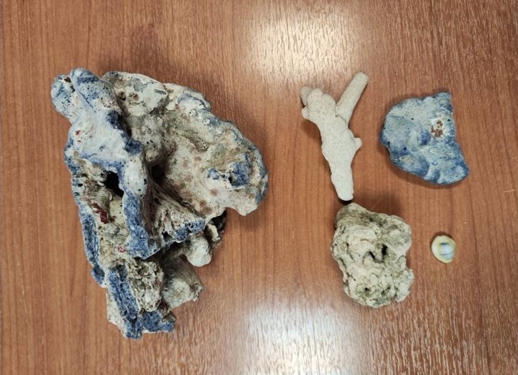 Митнически служители на Летище София иззеха корали от пътник от Малайзия