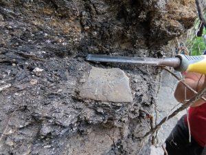 Франция върна на Монголия ценни вкаменелости на динозаври