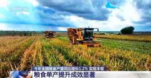 Китай с рекордна зърнена реколта през 2025 г., надхвърляща 714 милиона тона