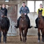Героите на МВР: Конете-полицаи – от служба до хипотерапия