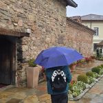 Меко време и малко дъжд през празничните дни: Прогноза за Коледа