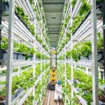 Китайското интелигентно земеделие навлиза в „ускорен режим“ през последните 5 години