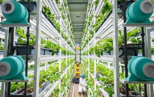 Китайското интелигентно земеделие навлиза в „ускорен режим“ през последните 5 години