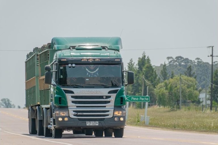 Турски ТИР падна в канавка на Прохода на републиката, затруднява движението Турски ТИР падна в канавка на Прохода на републиката, затруднява движението