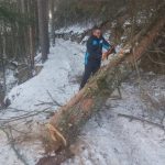 Ураган повали дървета по пътя за хижа „Яворов“, туризмът в Пирин с предупреждение