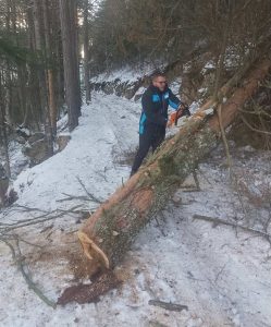 Ураган повали дървета по пътя за хижа "Яворов", туризмът в Пирин с предупреждение