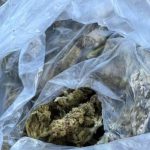 Наркотици открити в затворническото общежитие в Самораново