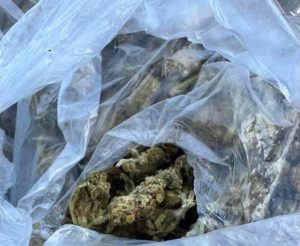 Наркотици открити в затворническото общежитие в Самораново