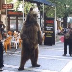 Мечкадари от Ягода не простиха на Брижит Бардо дори след смъртта ѝ