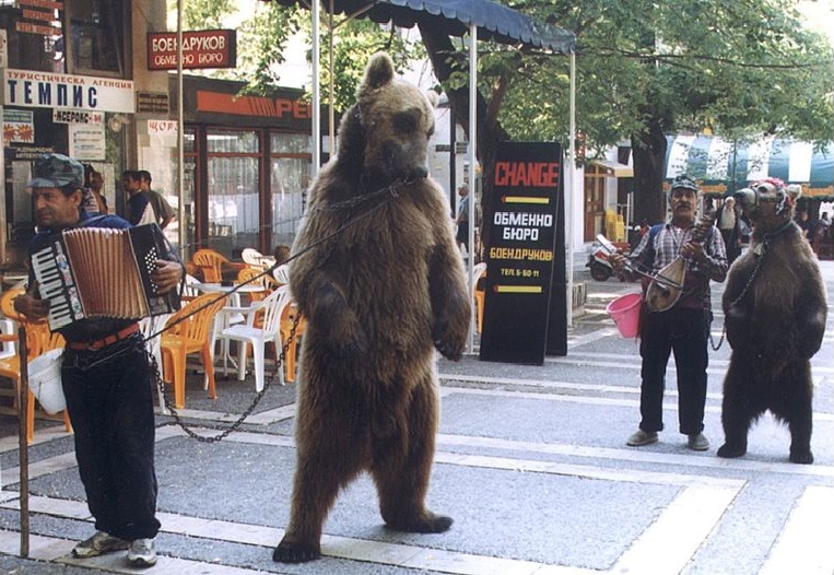 Мечкадари от Ягода не простиха на Брижит Бардо дори след смъртта ѝ