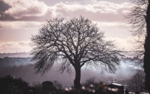 Антициклон носи мъгли и слънце в България, застудяване след 10 декември