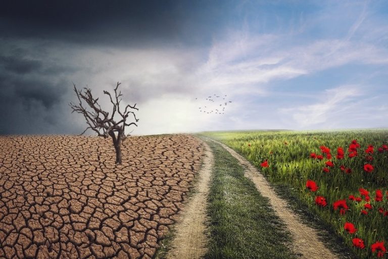 Изкуственият интелект: Двуликият помощник в борбата с климатичните промени Изкуственият интелект: Двуликият помощник в борбата с климатичните промени