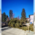 Оранжев код: Бурен вятър изкорени десетки дървета в Югозападна България