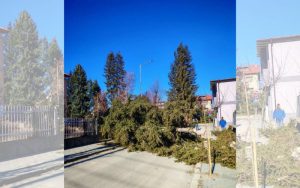 Оранжев код: Бурен вятър изкорени десетки дървета в Югозападна България