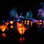 Милиони светлини преобразяват парка „Голдън Гейт“ в Сан Франциско