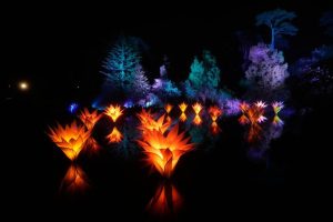 Милиони светлини преобразяват парка "Голдън Гейт" в Сан Франциско