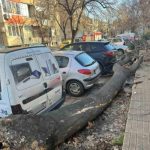 Паднало дърво нанесе щети на два автомобила в Сопот