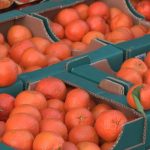 Сезонни плодове и зеленчуци поскъпват преди празниците: Търговци и потребители притеснени