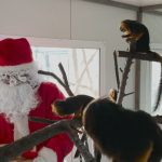 Дядо Коледа зарадва животните и децата в зоопарка в Бургас