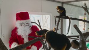 Дядо Коледа зарадва животните и децата в зоопарка в Бургас