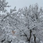 Електрозахранването във Враца се нормализира, екипи работят по последните аварии