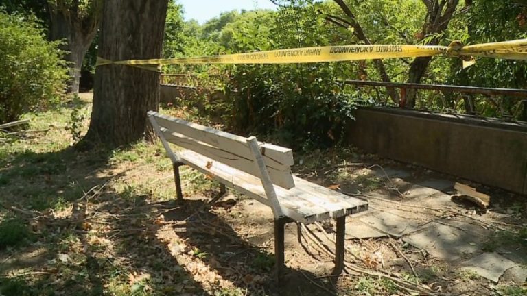 Край на емблематичните тополи по поречието на Марица в Пловдив Край на емблематичните тополи по поречието на Марица в Пловдив