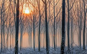 Времето: Слънце и мъгли, температурите се повишават
