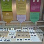 12-те имена на Стара Загора: Изложба разкрива вековна история и нумизматични тайни