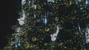 Краков отново с най-красивата коледна елха в света