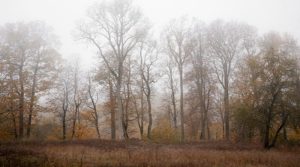 Мъгливо и облачно време в голяма част от страната, очакват се валежи през уикенда