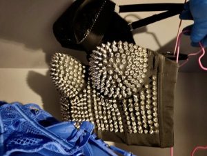 Делото срещу Габриела Сашова и Красимир Георгиев тръгва: Обвинени в жестокост и убийства на животни