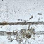 Над 20 снегорина осигуряват проходимостта в Русенско, жълт код за сняг и вятър