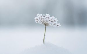 Астрономическата зима настъпва с облачно време и дъжд в България