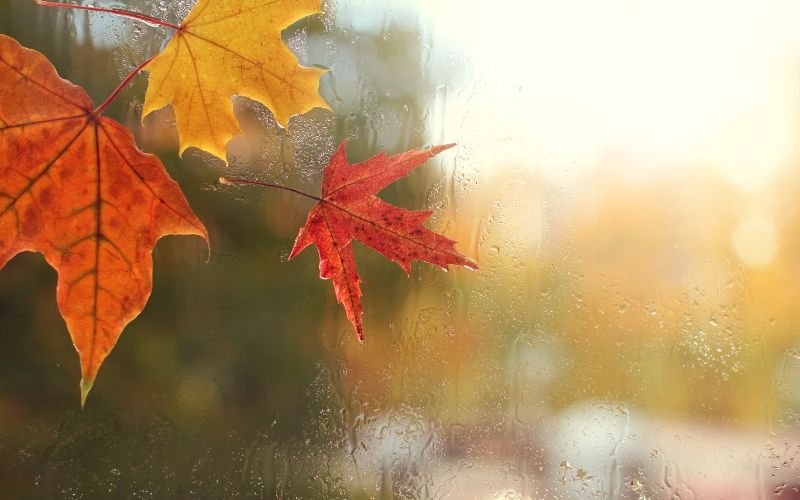 Облачно и дъждовно време през следващите дни, очакват се значителни валежи