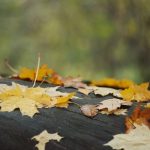 Облачно време и слаби превалявания очакват студентите за 8 декември