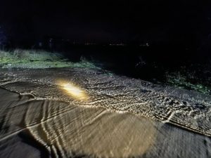 Бедствено положение в Гелеменово: Река Телки дере преля, наводни къщи и дворове