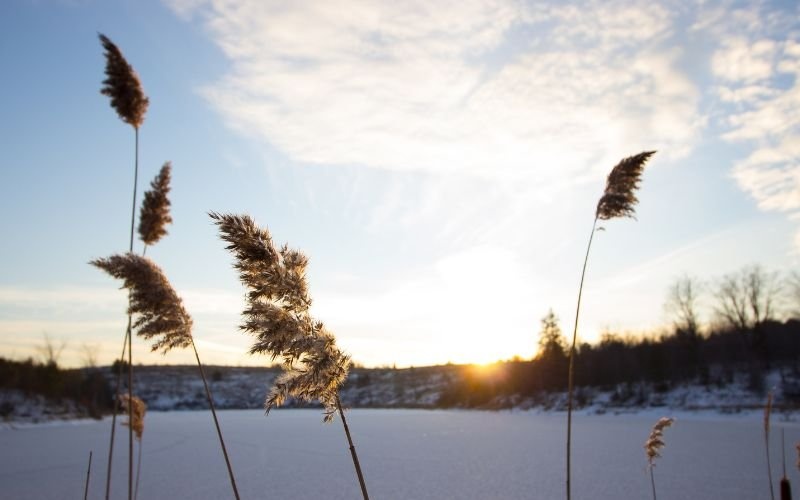 Опасно ветровито време: Жълт код за силен вятър в цялата страна