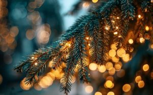 Откраднаха детска елха в Радомир: Камера засне злодеянието