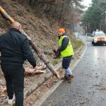 Бурен вятър връхлетя Старозагорска област, десетки сигнали за щети